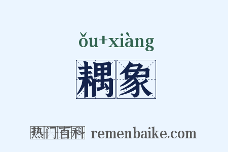 耦象是什么意思的图片